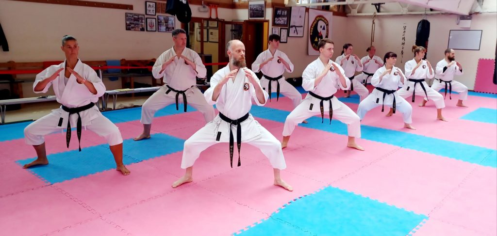 practicing kata form - seiunchin