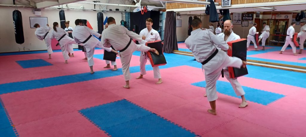 karate based pad drills