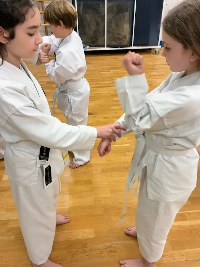 Junior Karate Class Bunkai