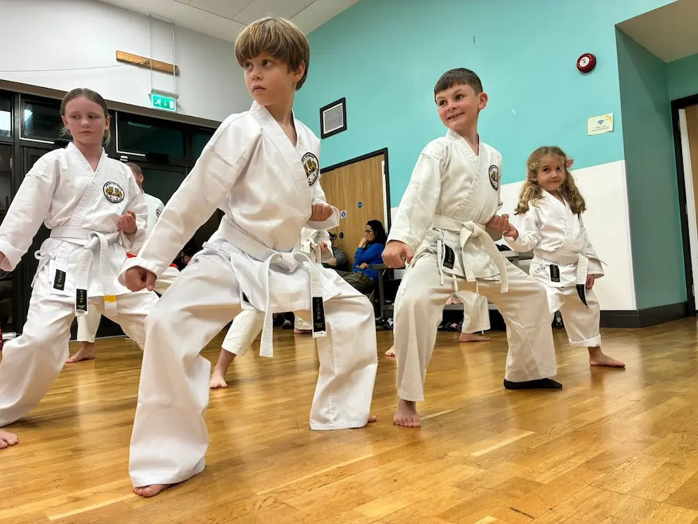 Doryoku Ryu Junior Karate Class