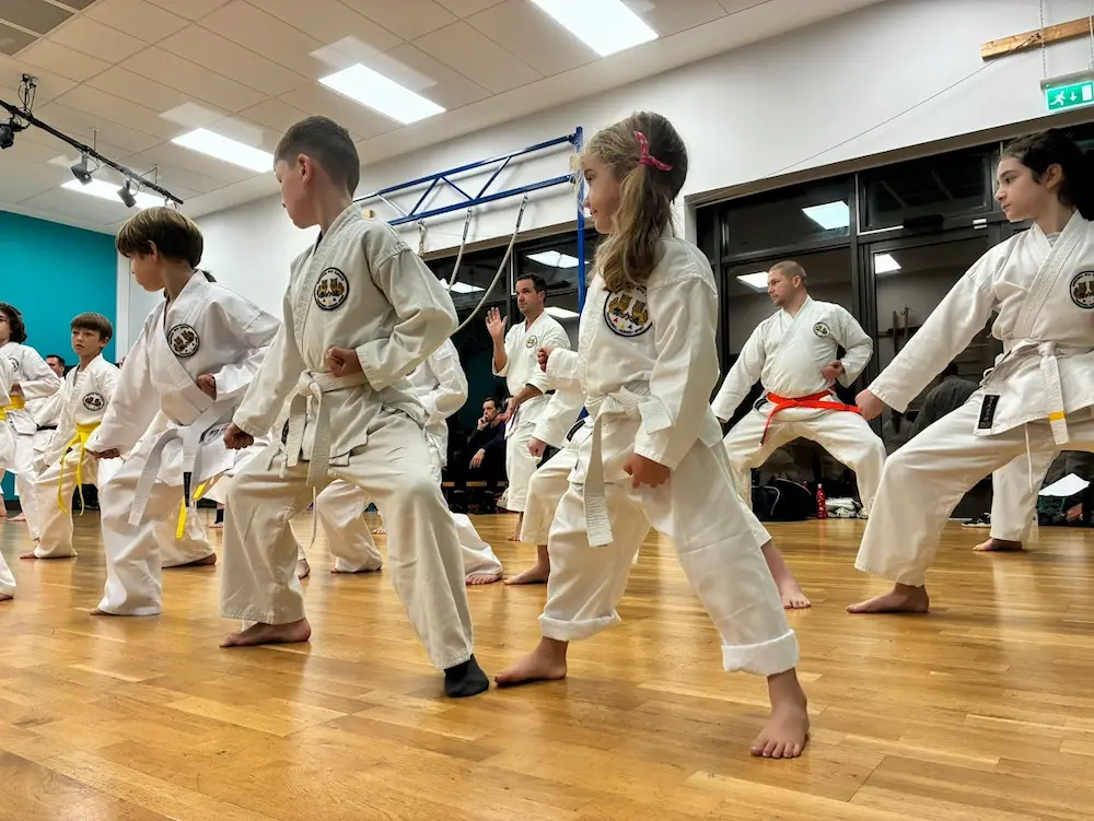 Junior Karate Class